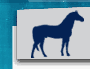 Ganado Equino